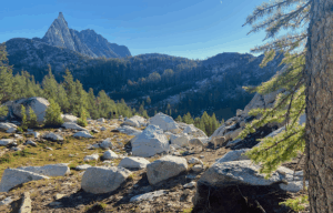 Mountain goats near Inspiration Lake in the Enchantments